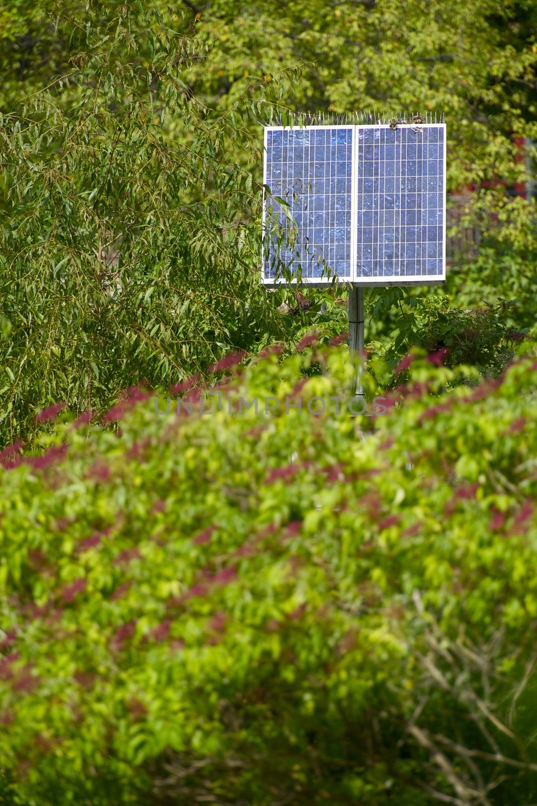 Solar Energy - Photovoltaic Solar Panels in the Garden. Alternative Energy Theme.