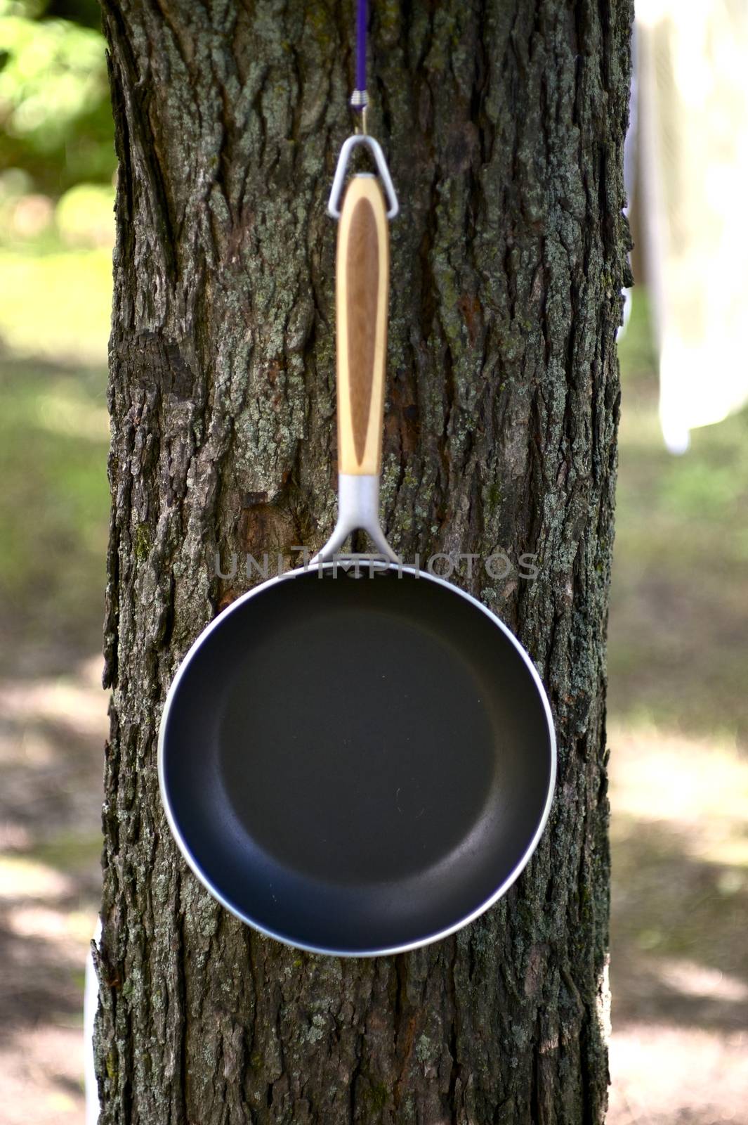 Frying Pan / Skillet on the Tree - Outdoor Camping Theme. Vertical Photo