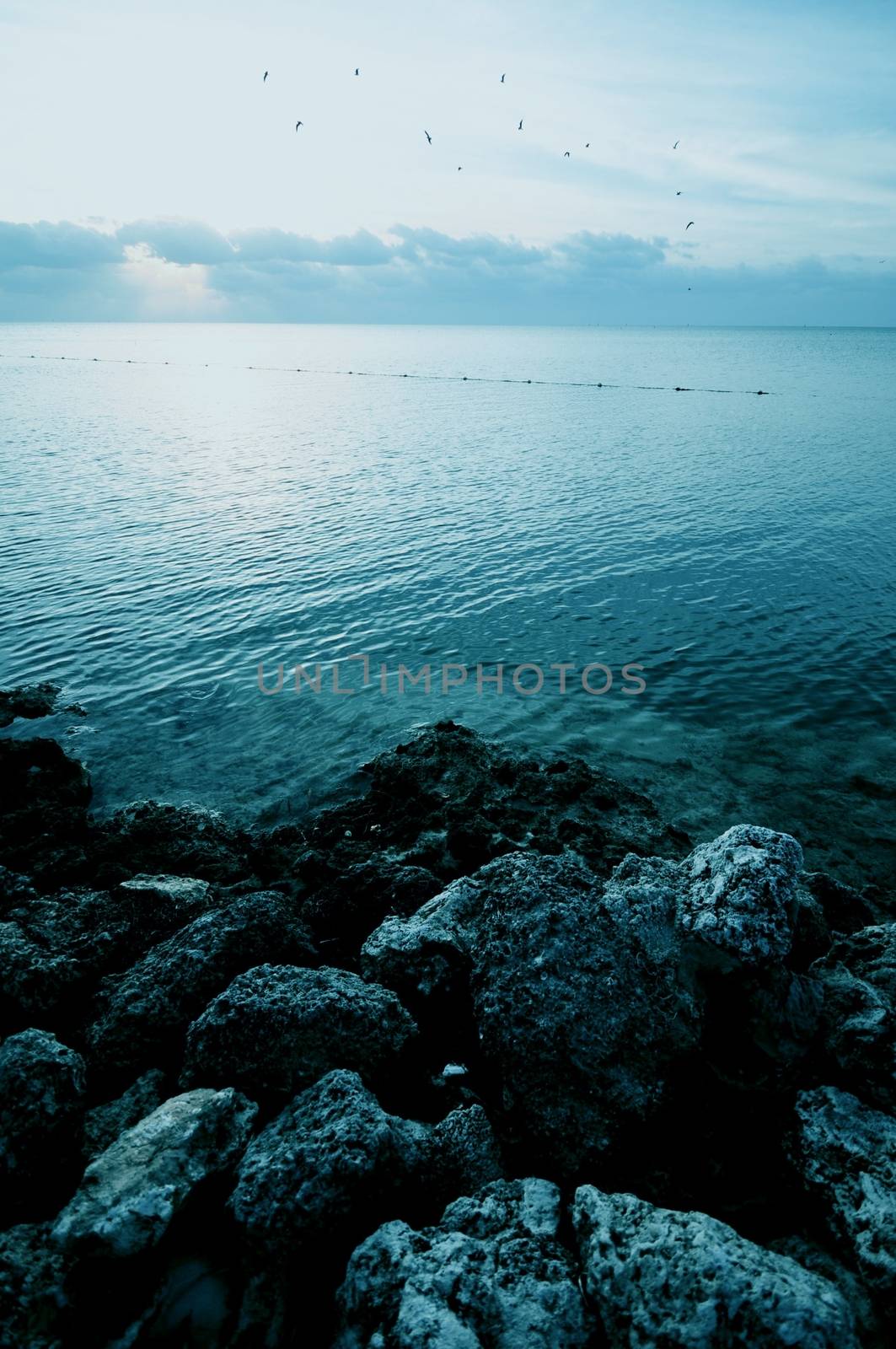 Rocky Shore by welcomia