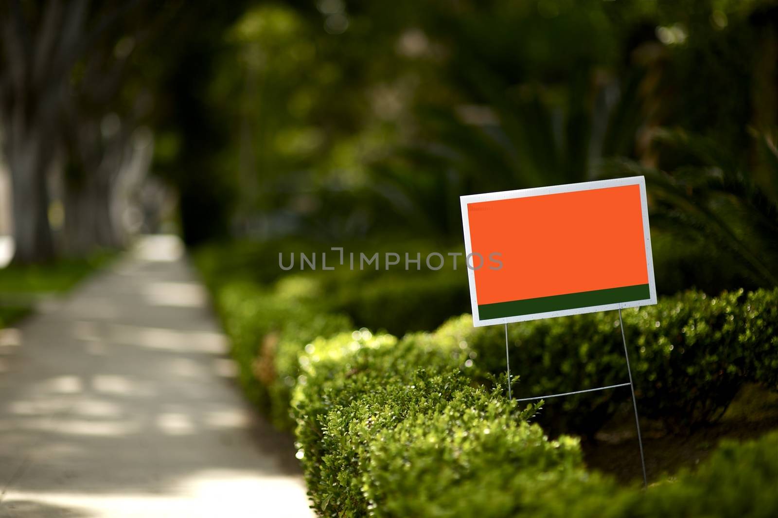Beverly Hills, California Political Yard Sign. Beverly Hills Front Yards