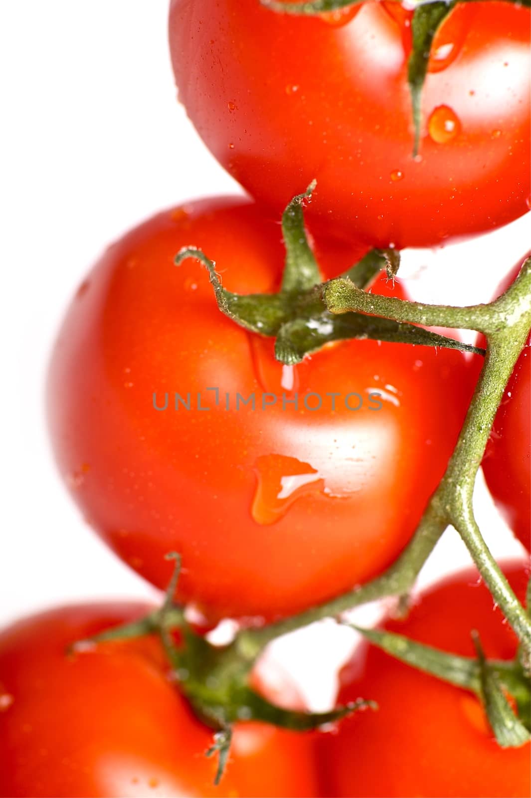 Tomatoes Freshness. Studio Vertical Shot. Fresh Red Tomatoes in Water. Fruits and Vegetables Photo Collection.