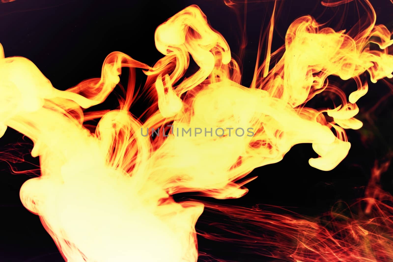Devils Fire - Wild Flames on the Black Background.