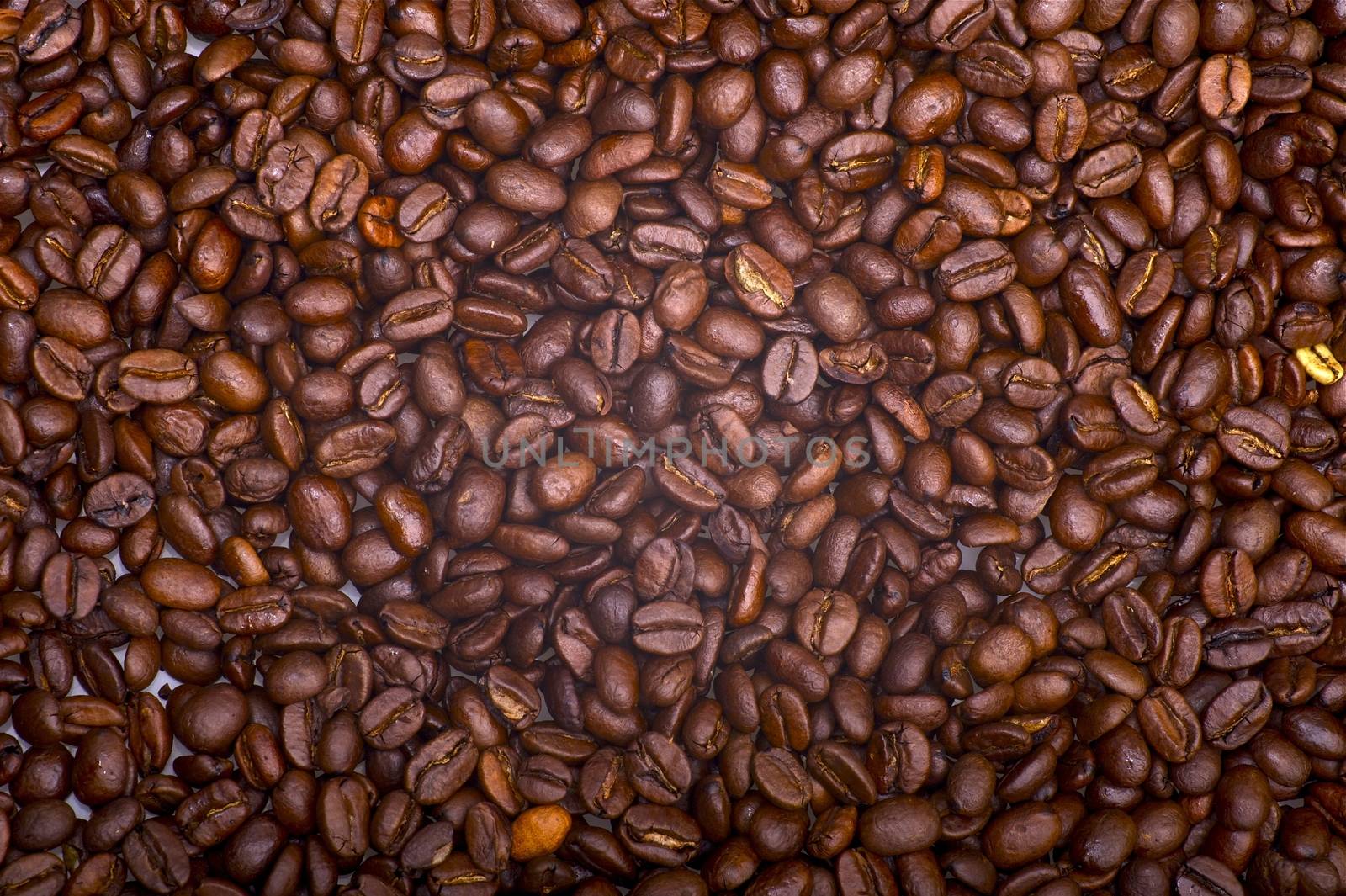 Coffee Beans Background. Fresh Coffee Beans. Coffee Plantation.