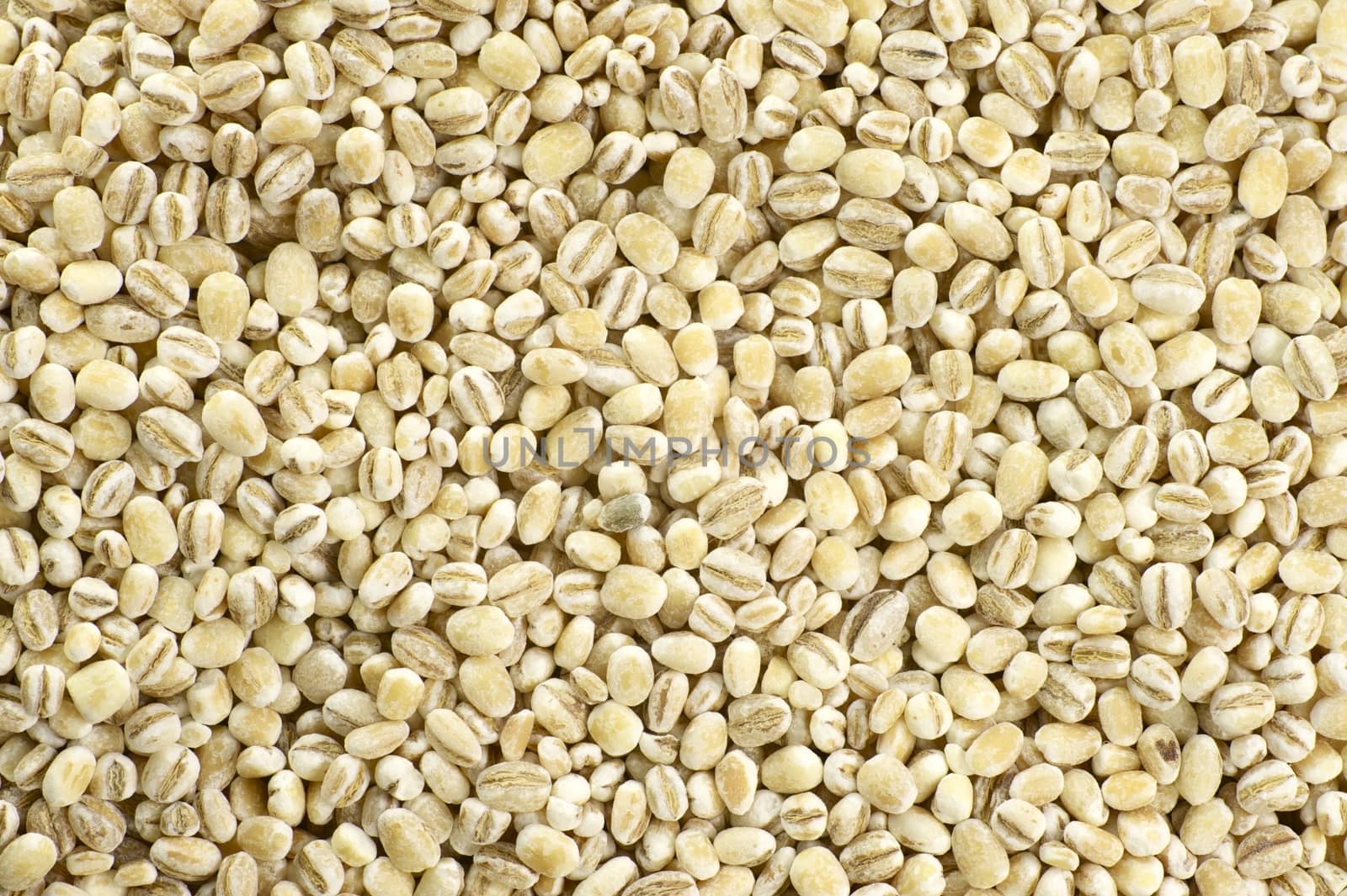 Millet Background - Raw Organic Millet. Food Photo Collection