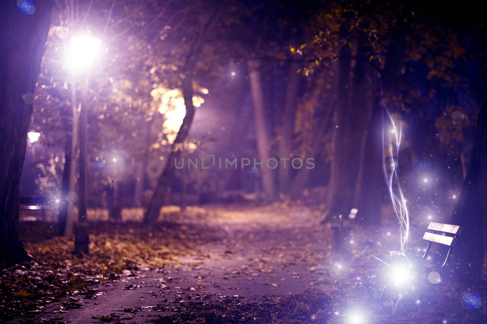 Magic City Park. City Park in Night. Mysterious Lights.