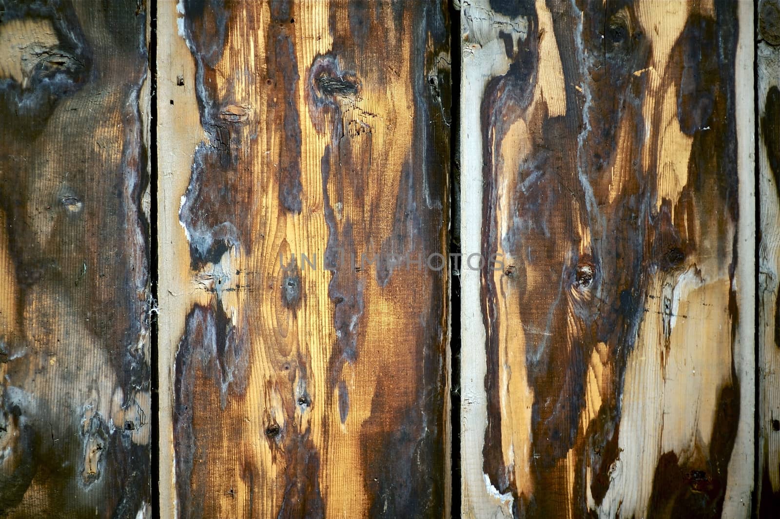 Rough Wood Wall Photo Background. Dirty Rough Vertical Planks - Closeup.
