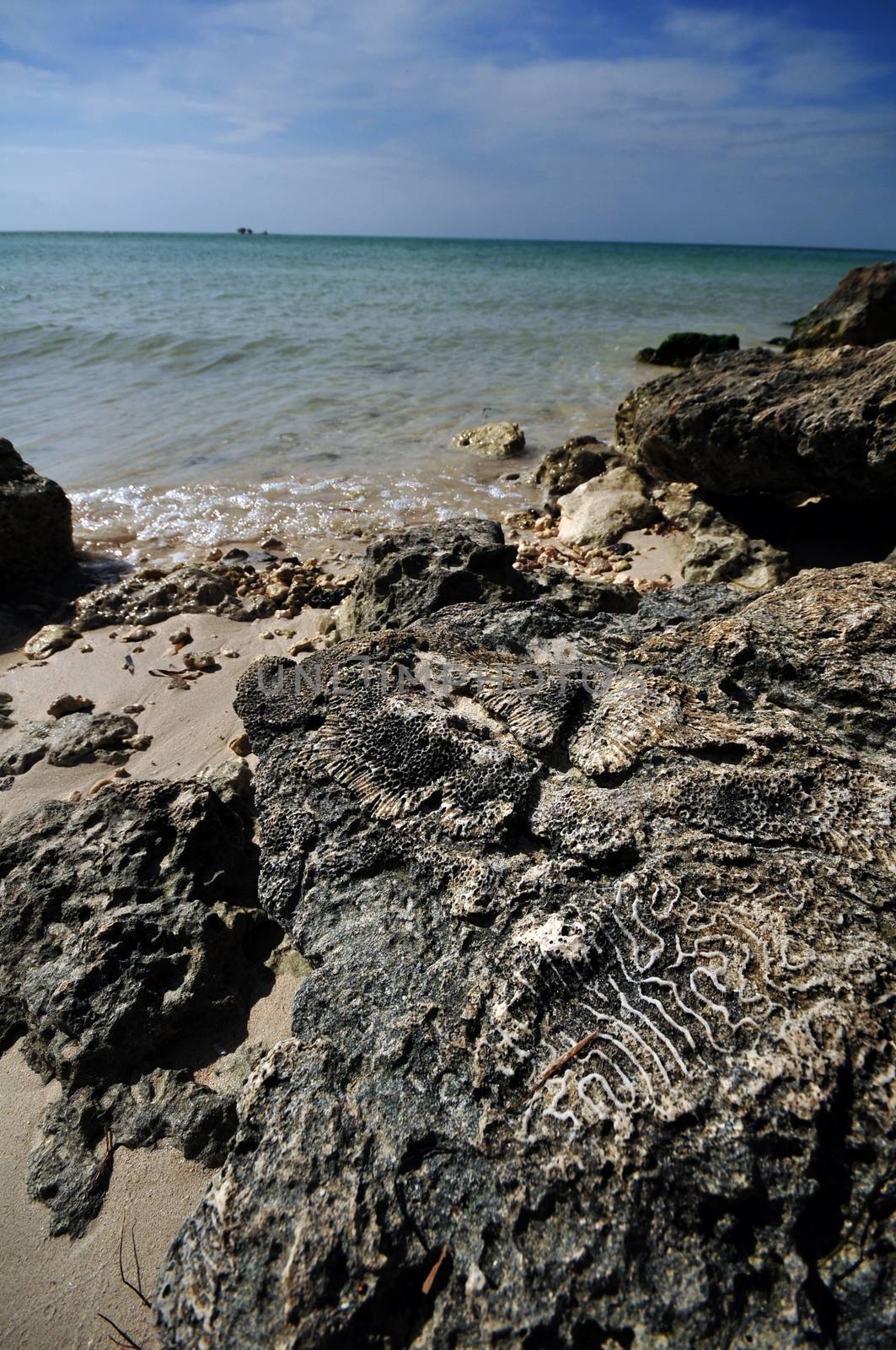 Rocky Shore - Rocky Beach of Bahia Honda State Park, Florida Keys, Florida USA.