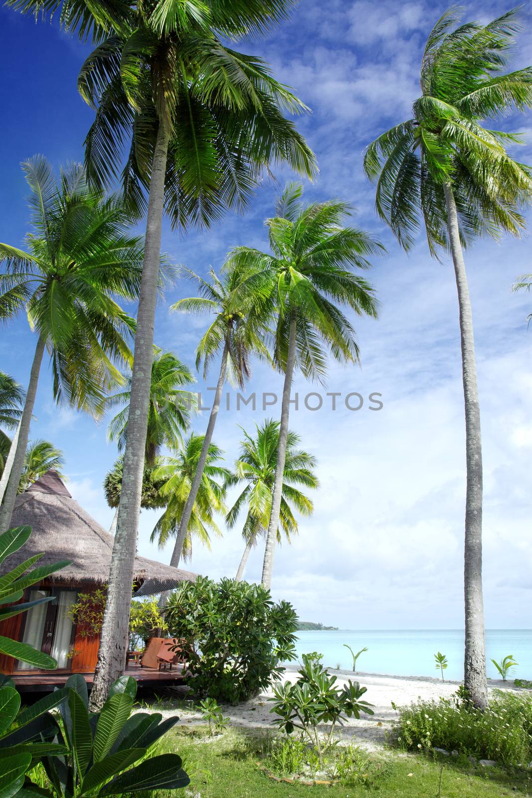 View of nice bungalow on  tropical empty sandy beach with some palm