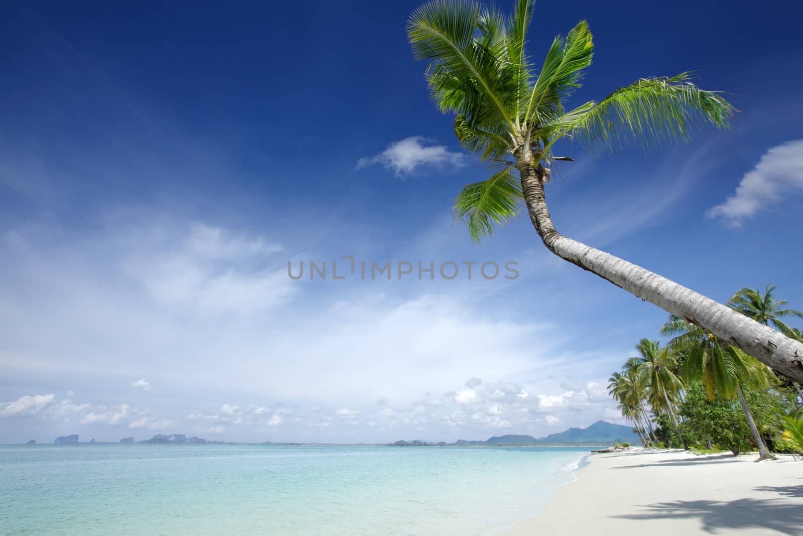 tropic beach by ersler