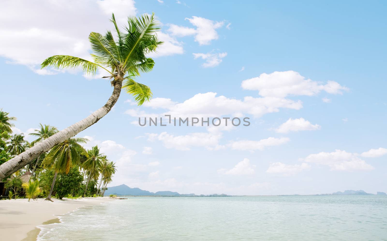 View of nice tropical empty sandy beach with some palm and bungalow on  back