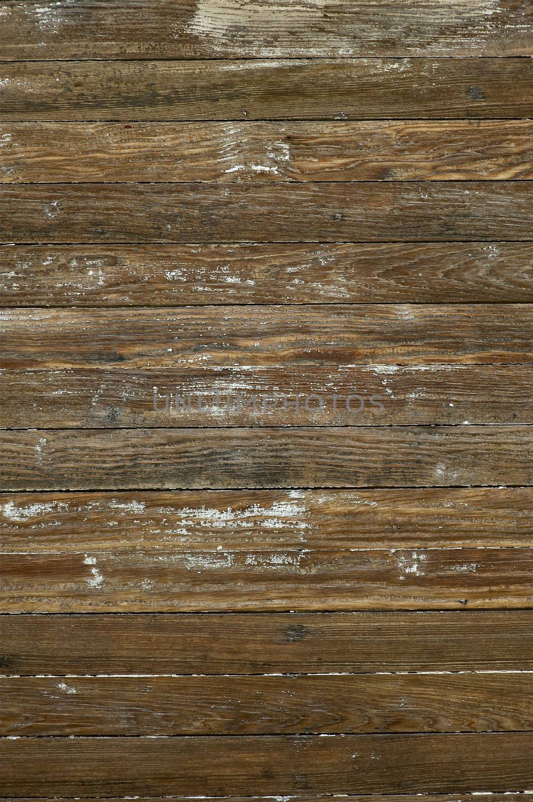 Old Wood Background. Old Wood Texture with Old Paint on the  Wood Surface