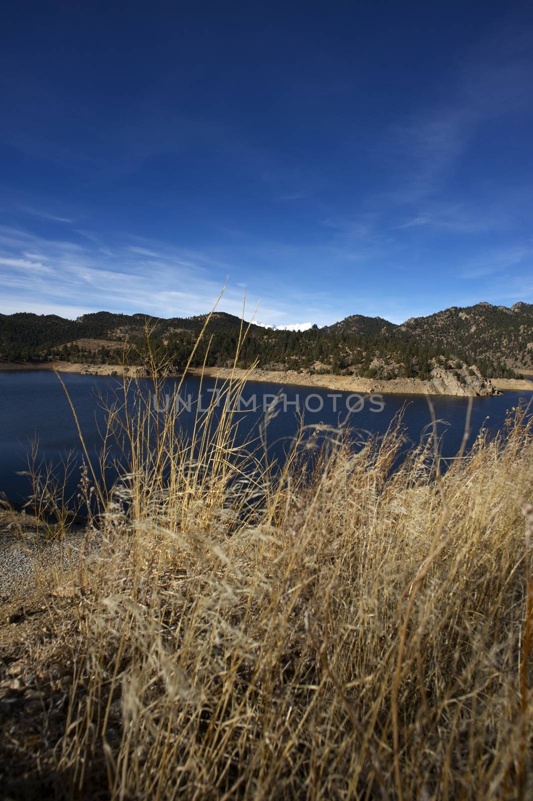 Dry Colorado by welcomia