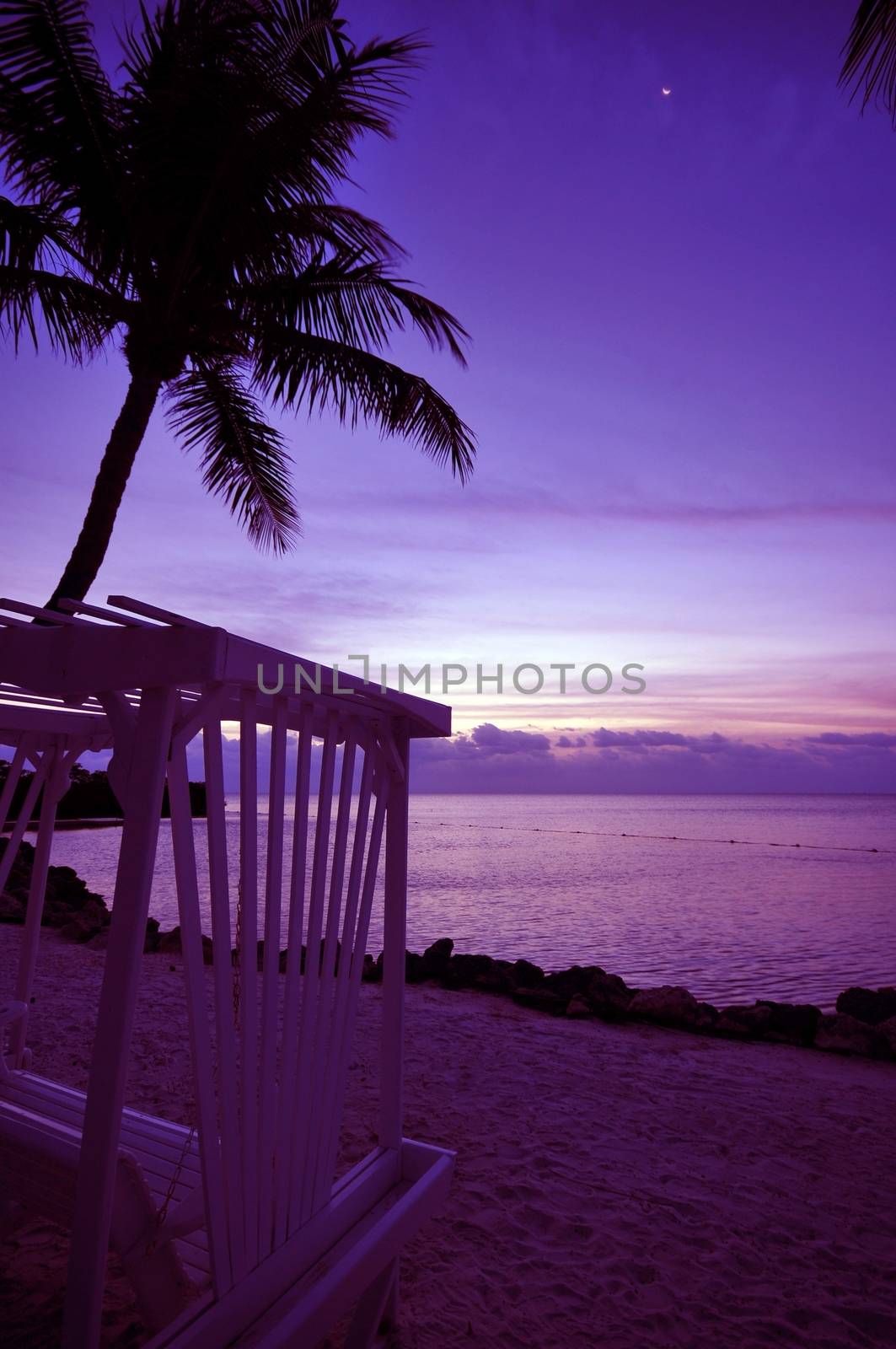 Relax in the Sunset. Tropical Sunset, Palm, Ocean, Bench and the Beach. Pinky Sunset in Some Tropical Place.