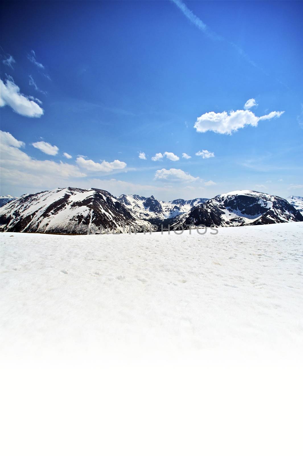 Snowy Mountains. Colorado Rocky Mountains Landspace. Vertical Photo with White Bottom Copy Space. Nature Photo Collection.
