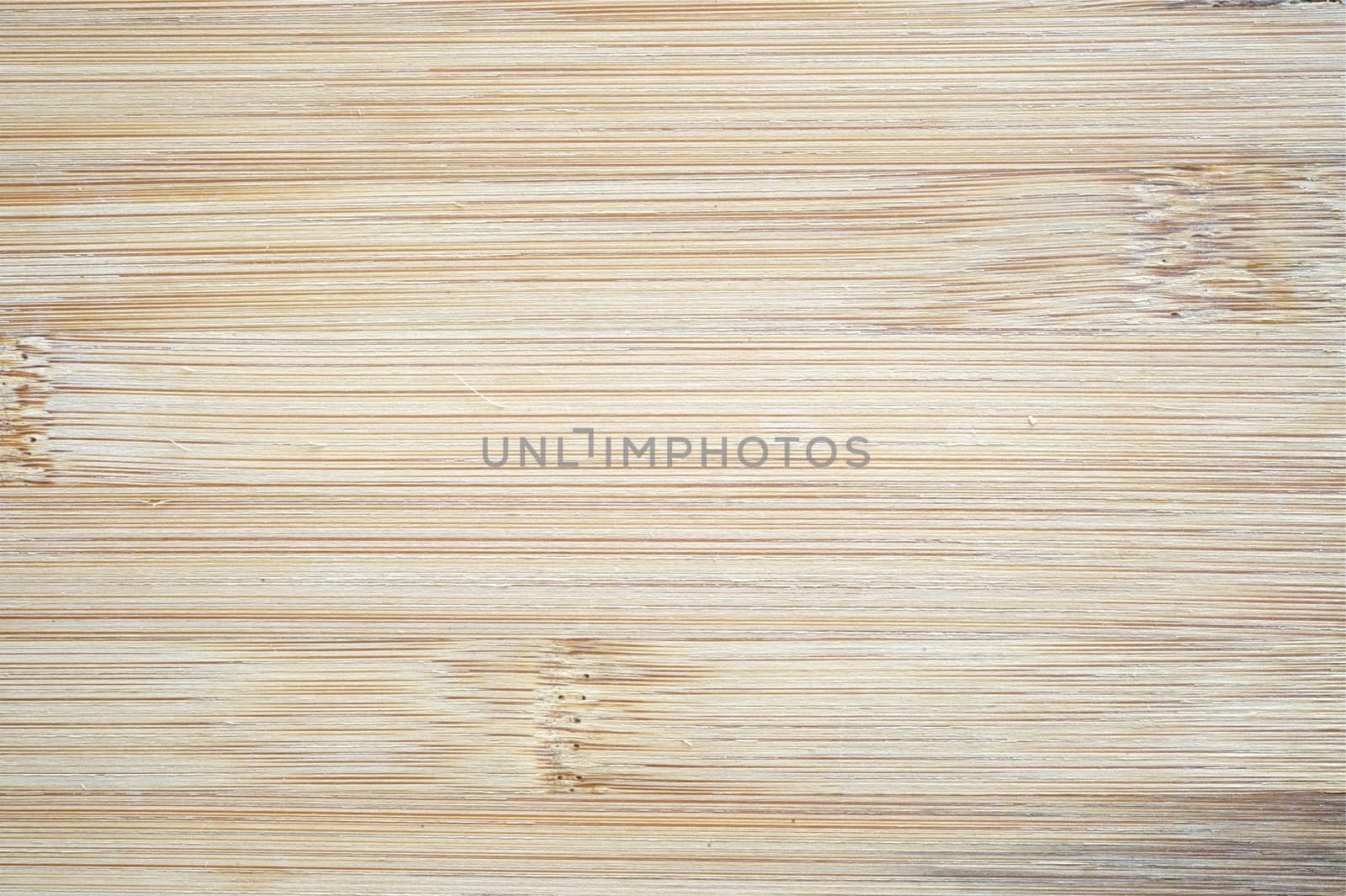 Horizontal Wood Texture. Real Wood Photo Background.