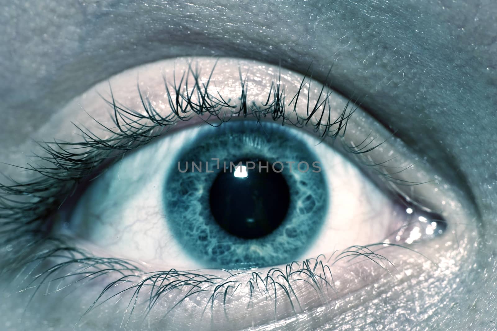 Human Eye in Macro Photography. Male / Men Eye. Horizontal Photo.