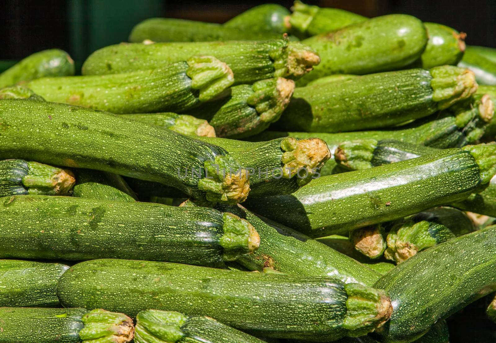 Food background: fresh zucchinis or courgettes from the market