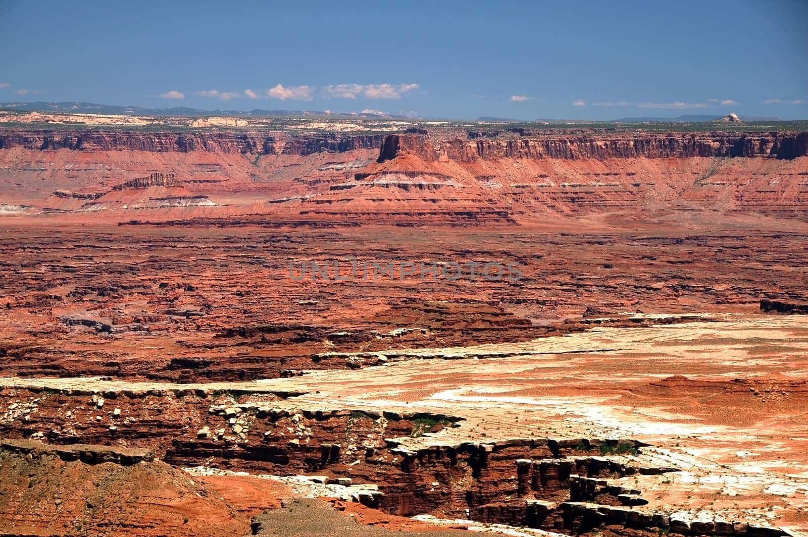 Canyonlands Landscape. Canyonland National Park in the Utah State. USA. Panoramic Photo.