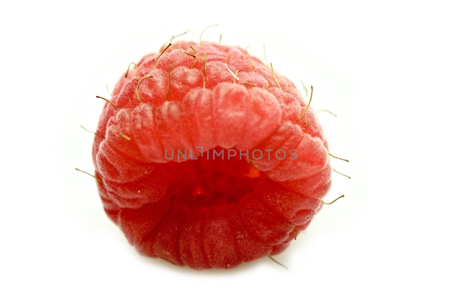 Single Fresh Raspberry in Macro Photography. Raspberry Fruit Isolated on White.