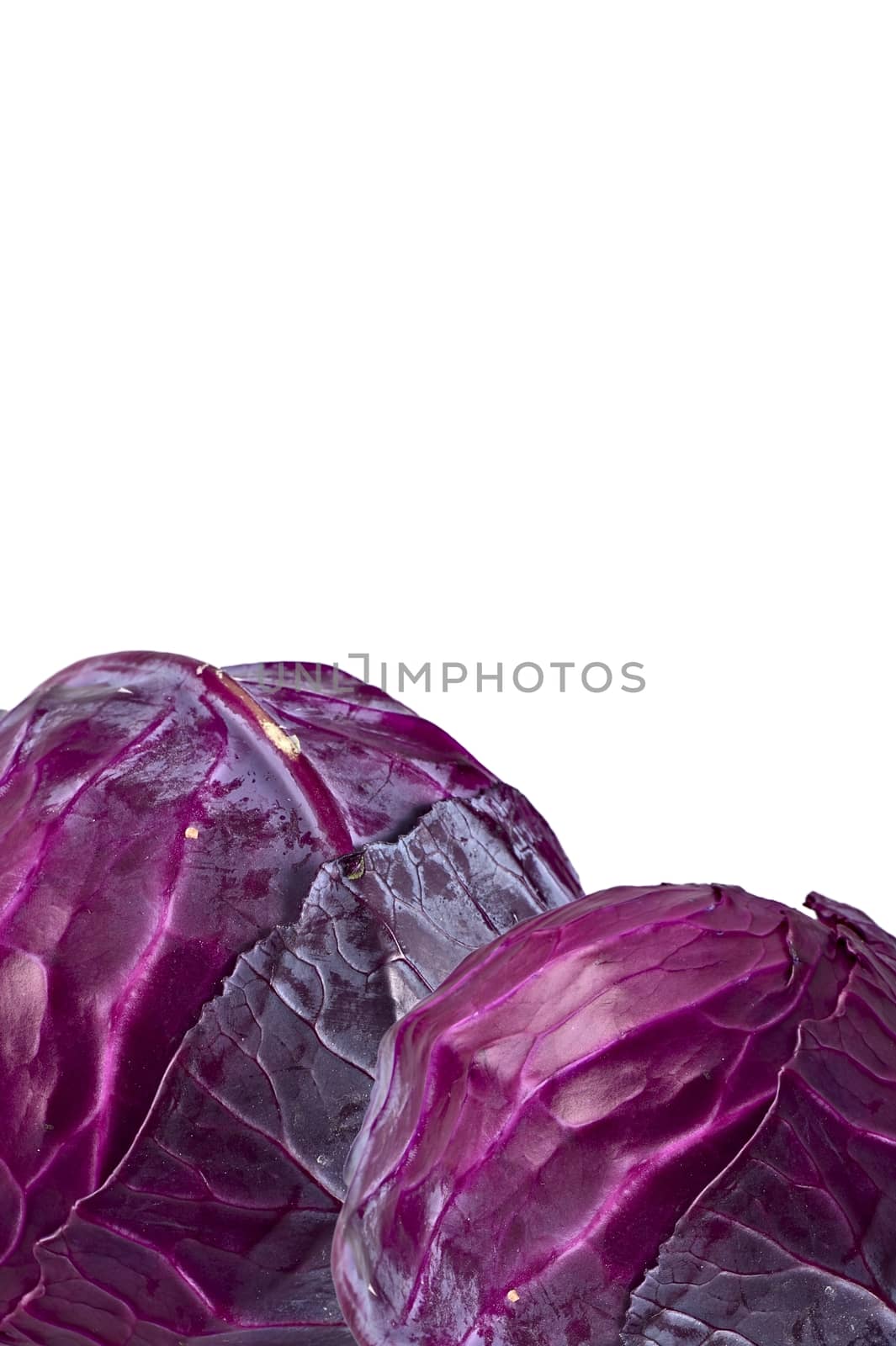 Red Cabbage Isolated on White. Red Cabbage Copy Space. Vegetables Photo Collection.