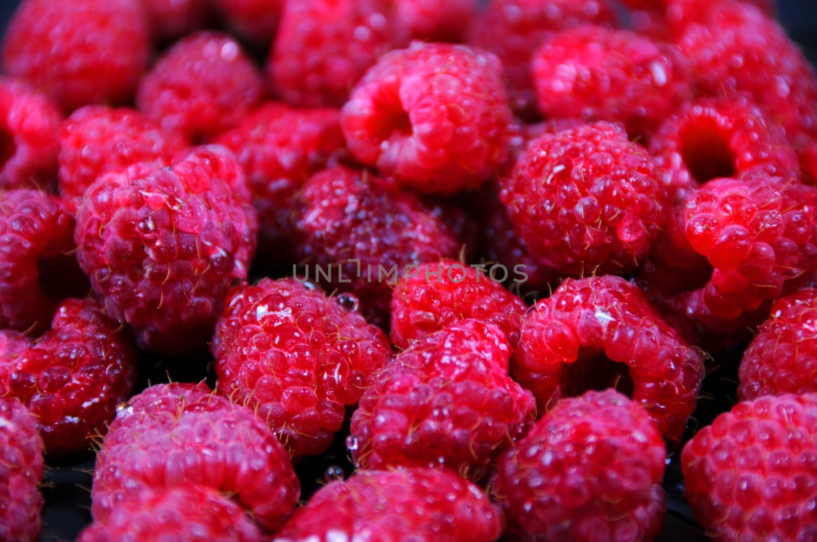 Fresh Rasberries Background.