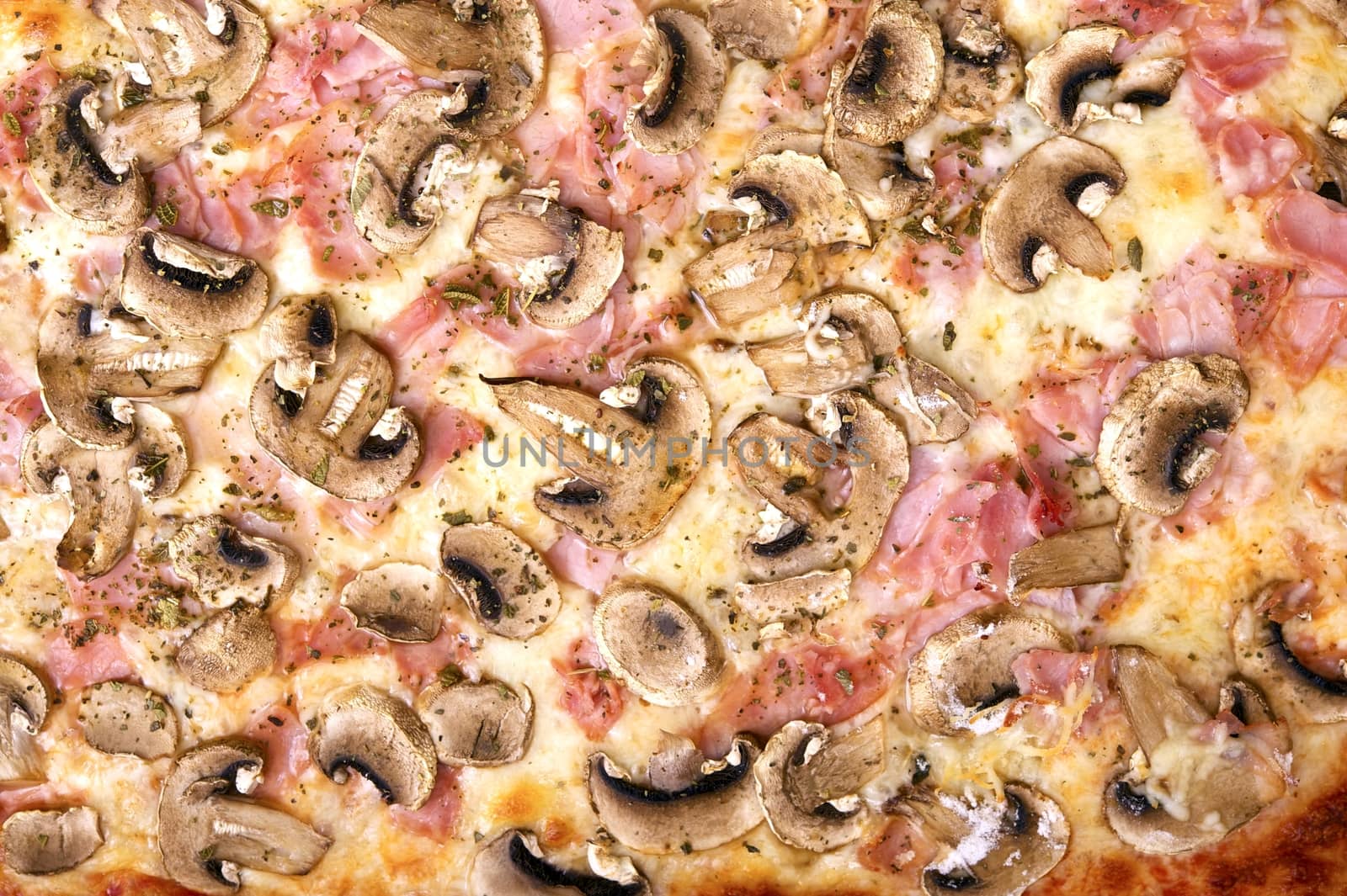 Baked Tasty, Home Made Pizza Closeup Photography. Pizza Background