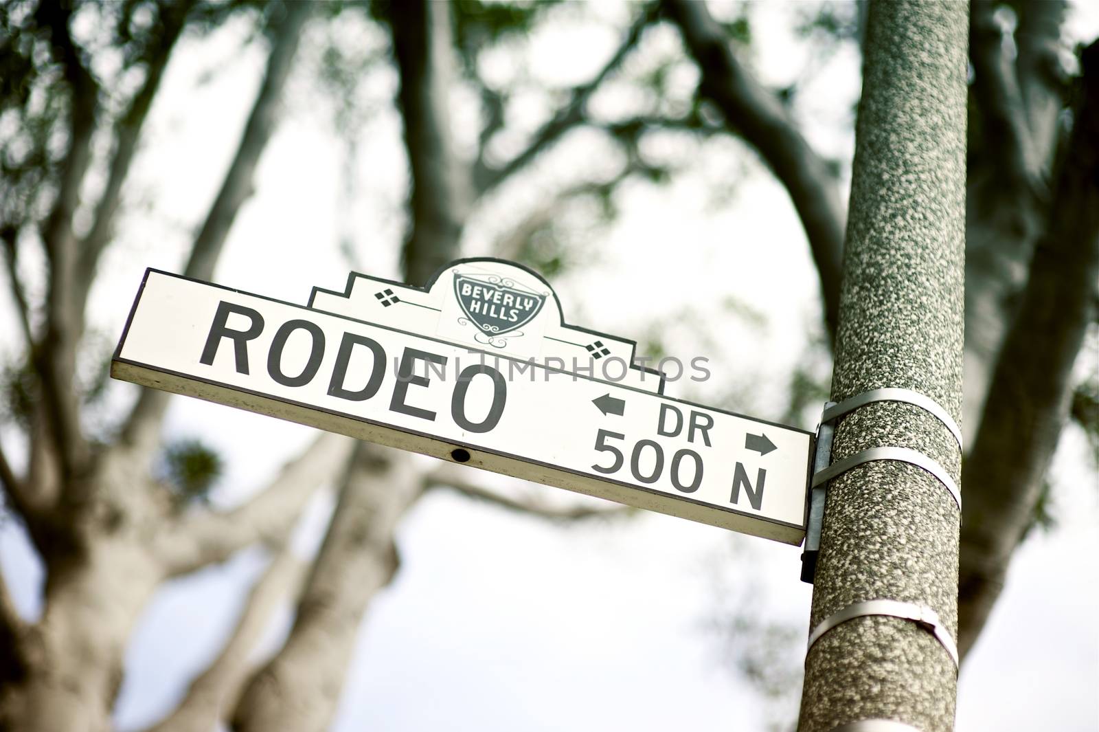 Rodeo Drive Street Sign - Rodeo Drive Pole Sign. Beverly Hills, California USA