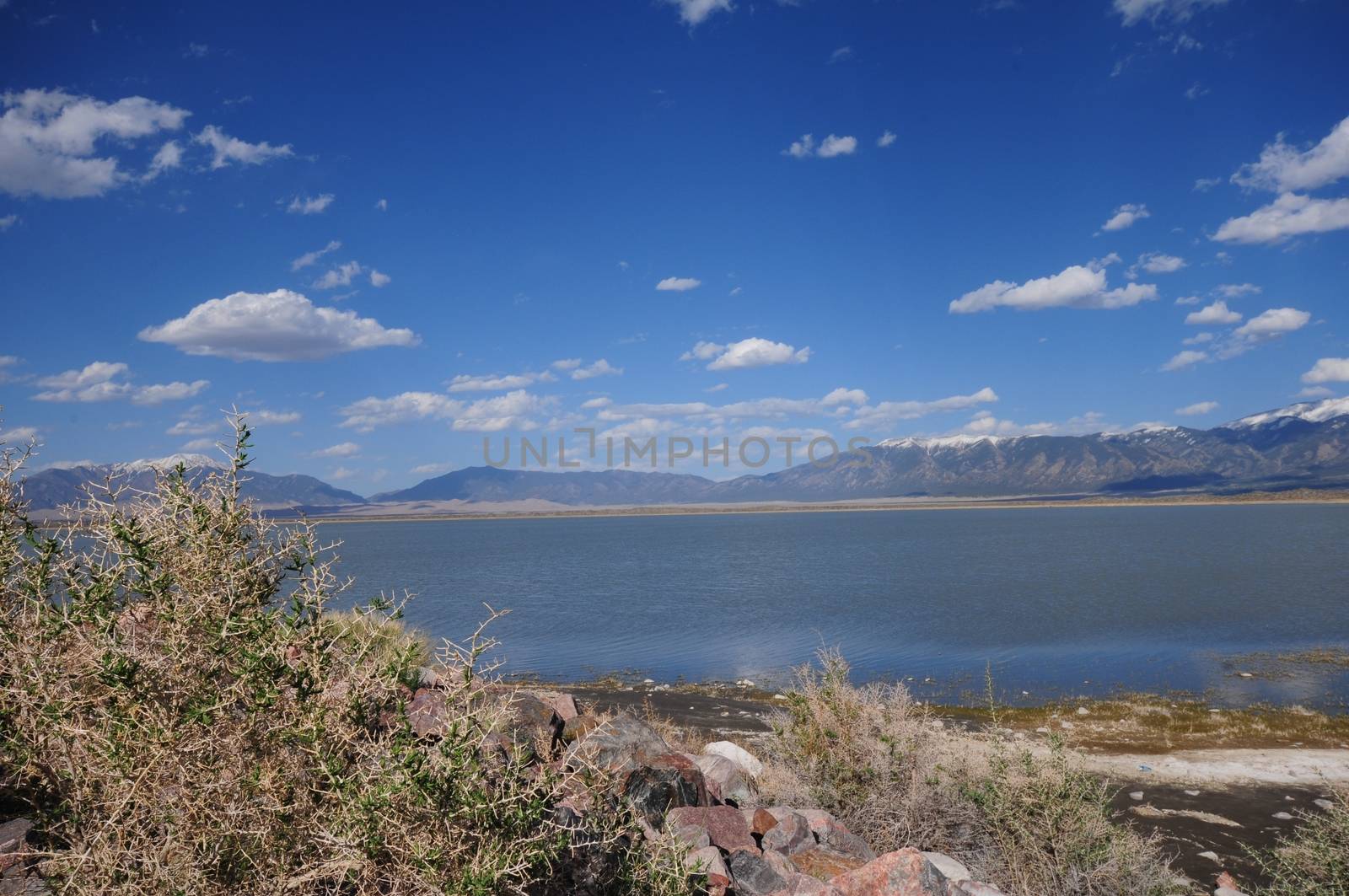 San Luis State Park Colorado, USA. Lake and the Rocky Mountains