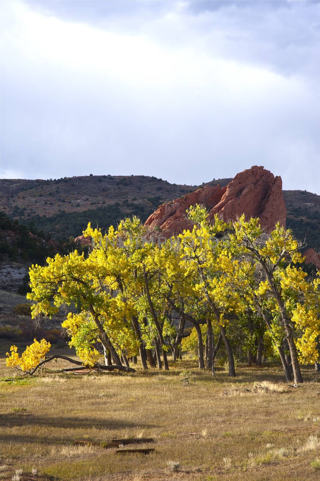 Colorado Landscapes by welcomia