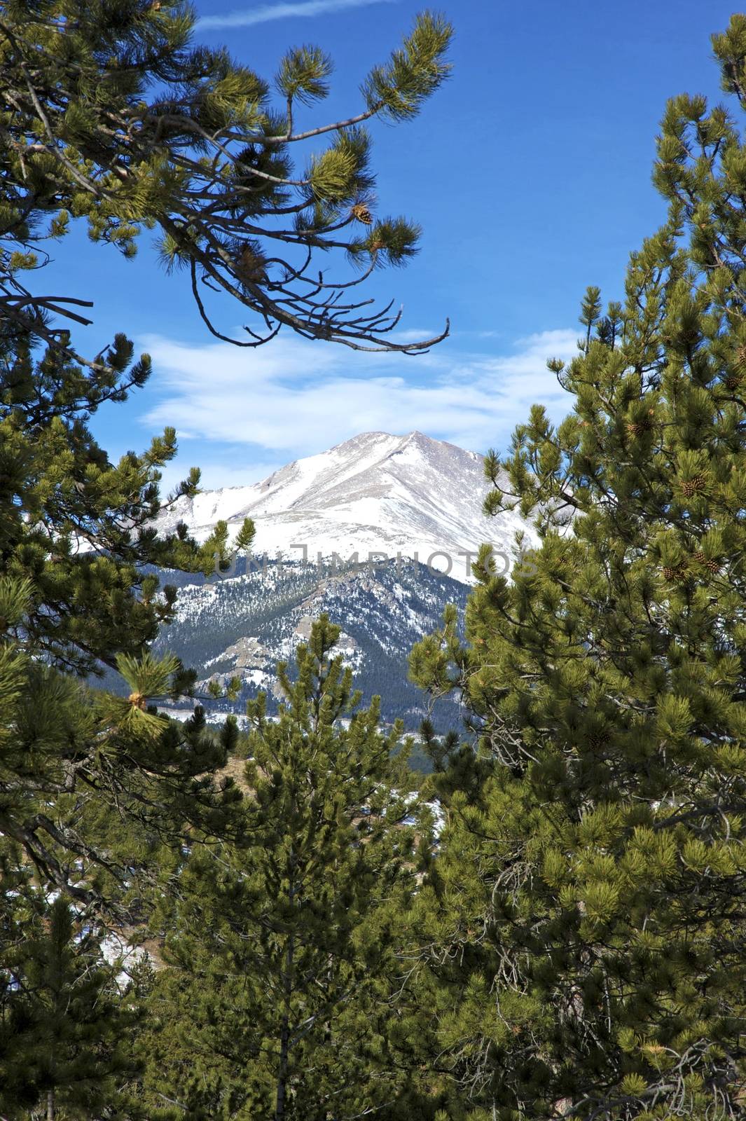 Colorado Rockies. Colorado Landscape. Late Fall in the Colorado, USA. Vertical Photography