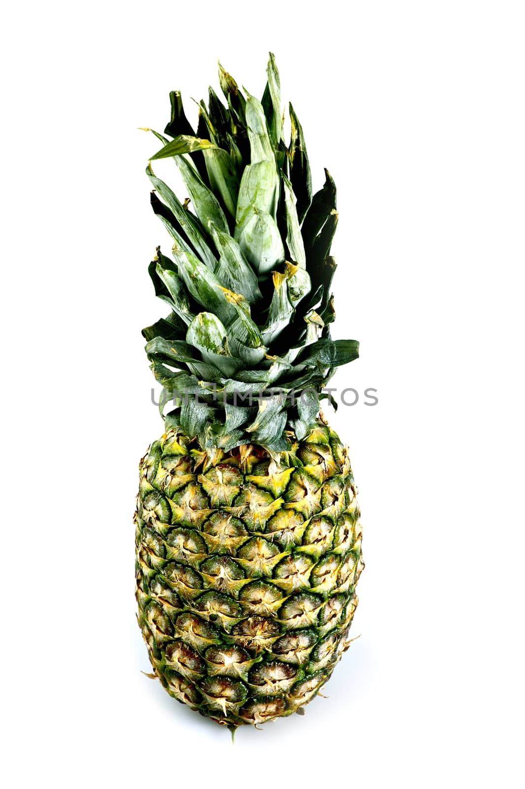 PIneapple Vertical Photo. Pineapple Isolated on White.
