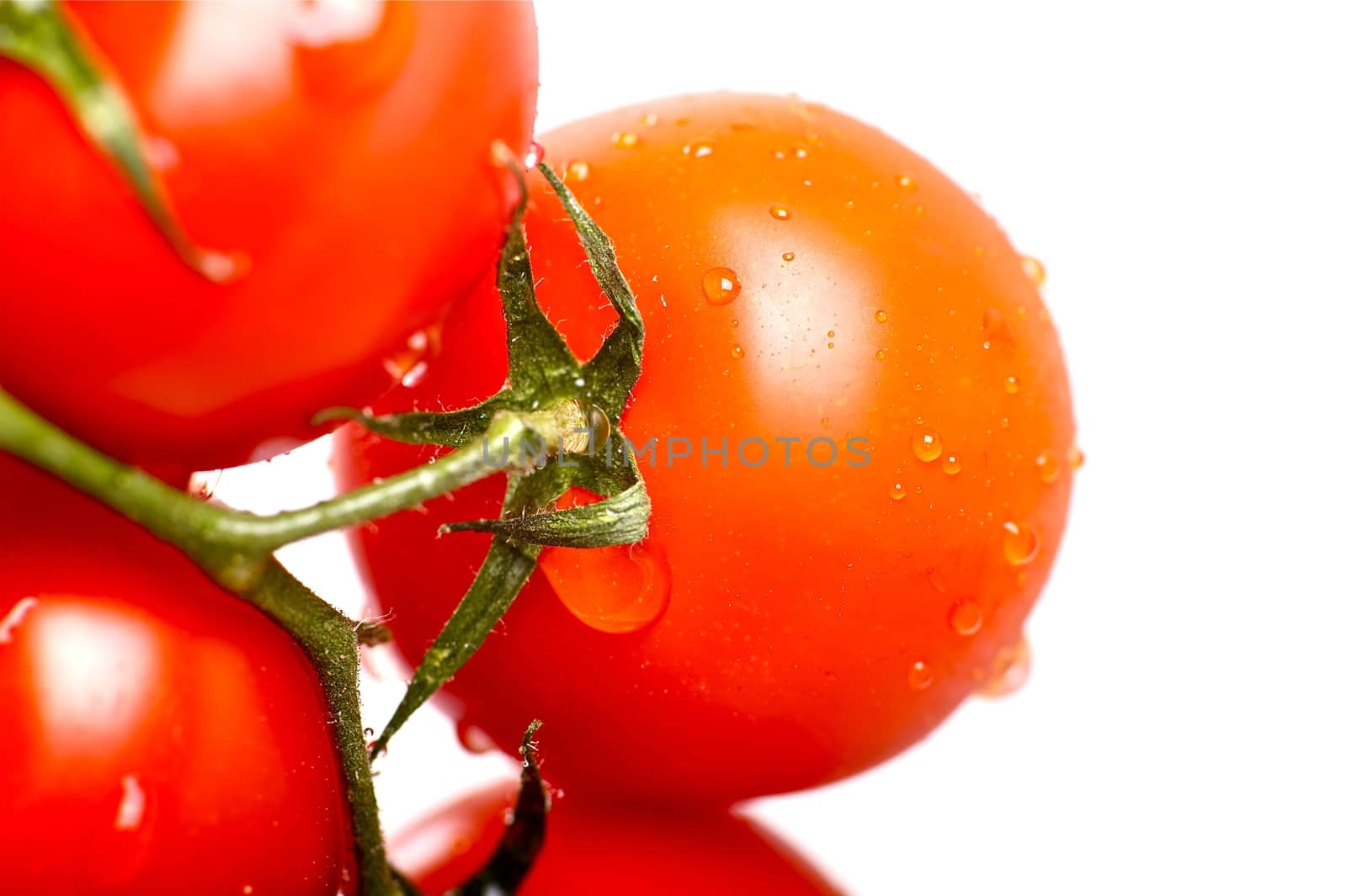 Tomatoes Freshness. Fresh Vegetables - Tomatoes Isolated on White. Fresh Tomato in Water. 