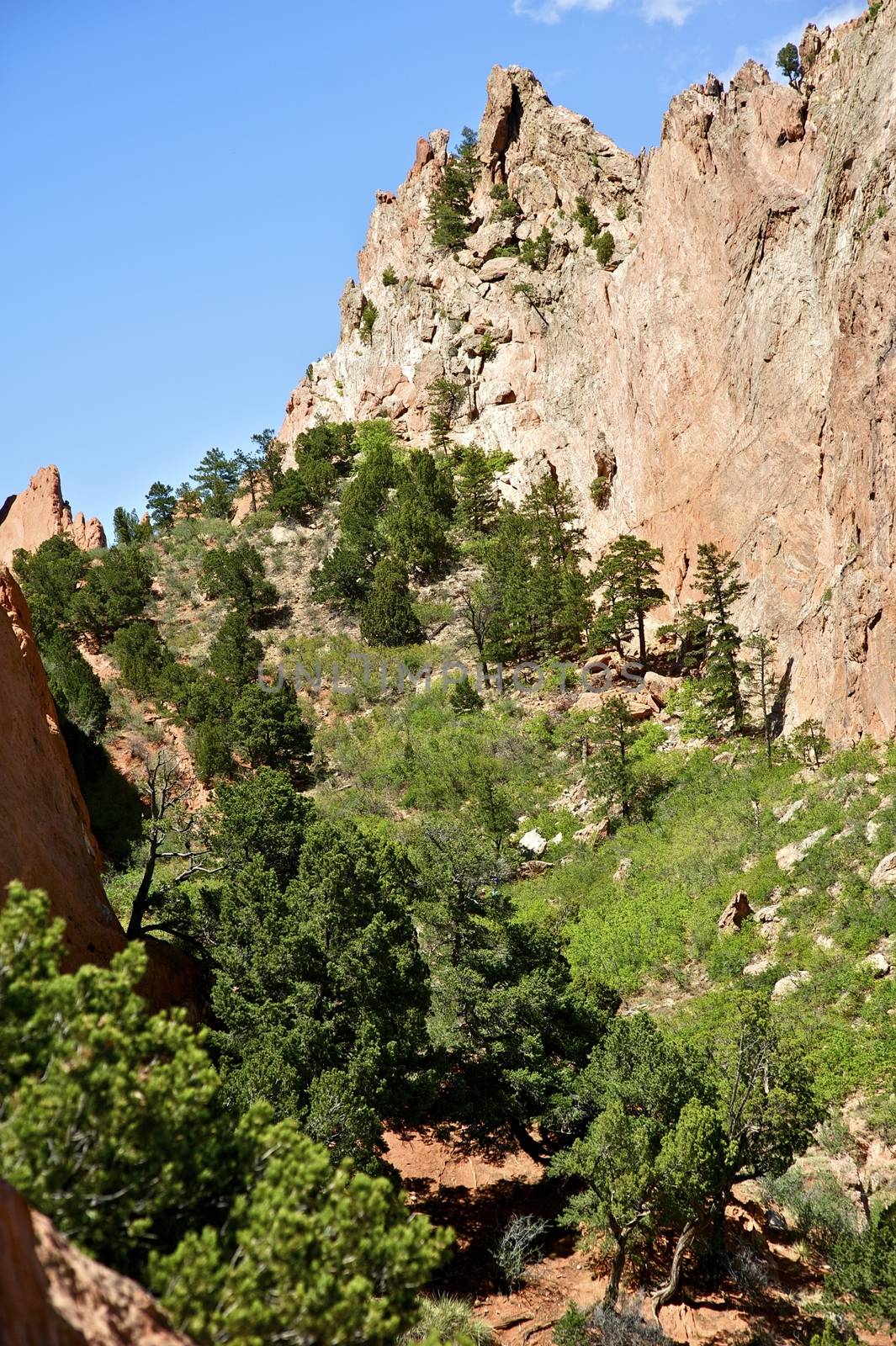 Amazing Colorado - Colorado Springs Garden of the Gods Public Park Contains Numerous Trails for Hiking, Walking, Mountain Biking and Horseback Riding. Vertical Photo.