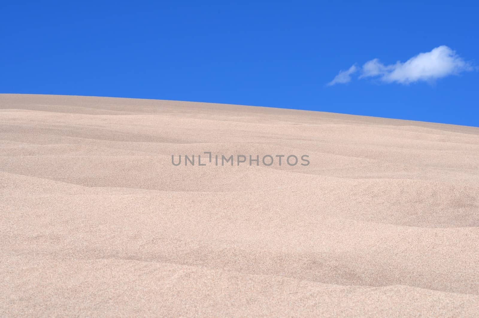 The Desert Landscape. Sand Dunes