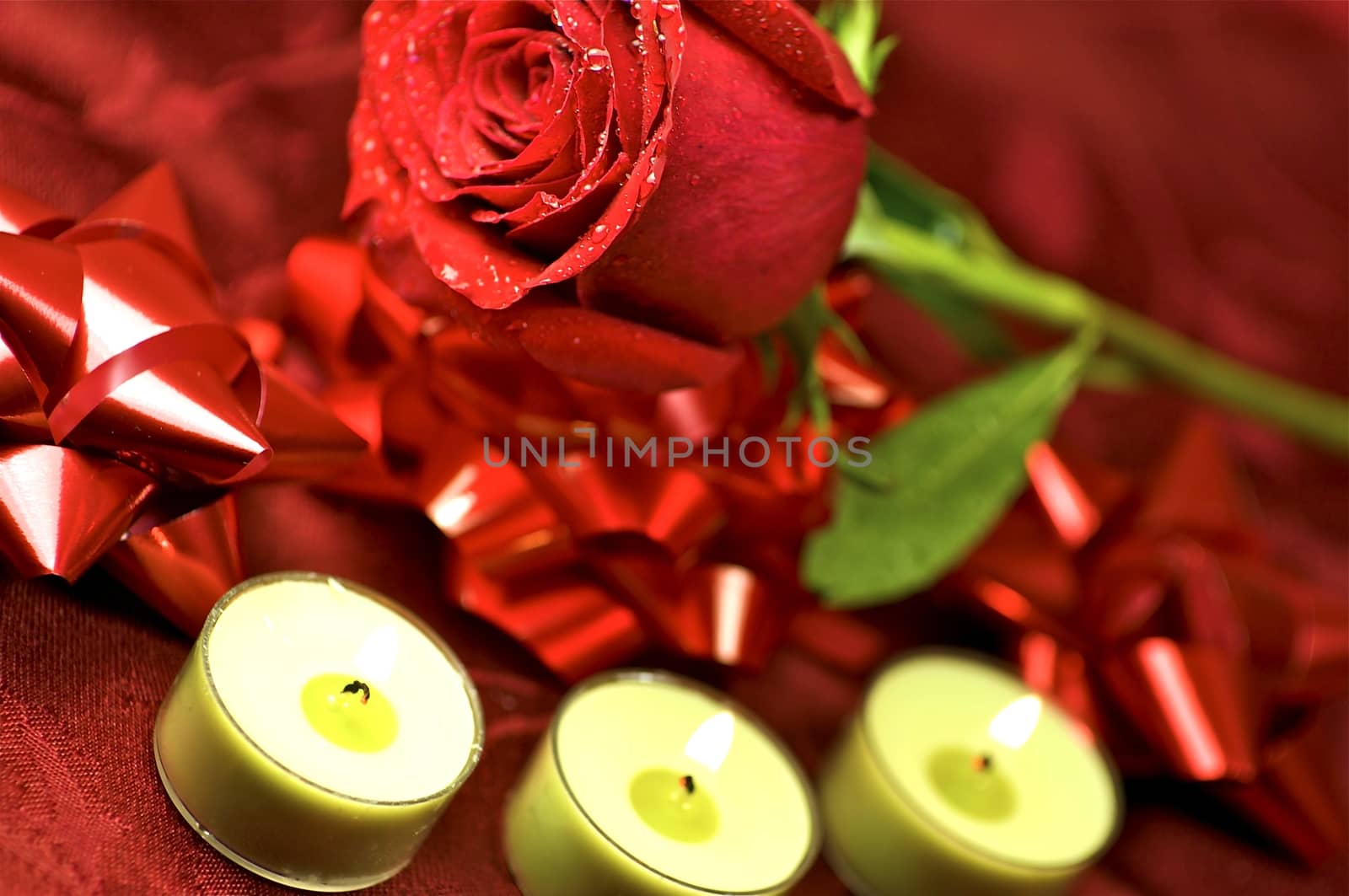 Red Rose and Candles. Special Day Theme. Fresh Cut Red Rose, Red Glossy Bows and Green Small Candles. Valentines Day Theme.