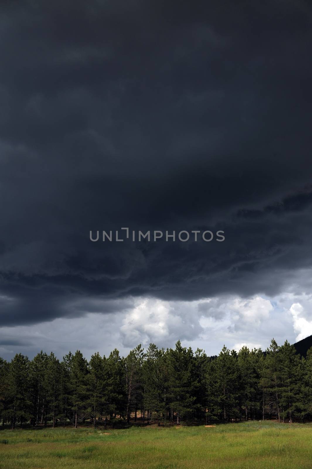 Approaching Storm. Angry Dark Sky Over Colorado Forest.