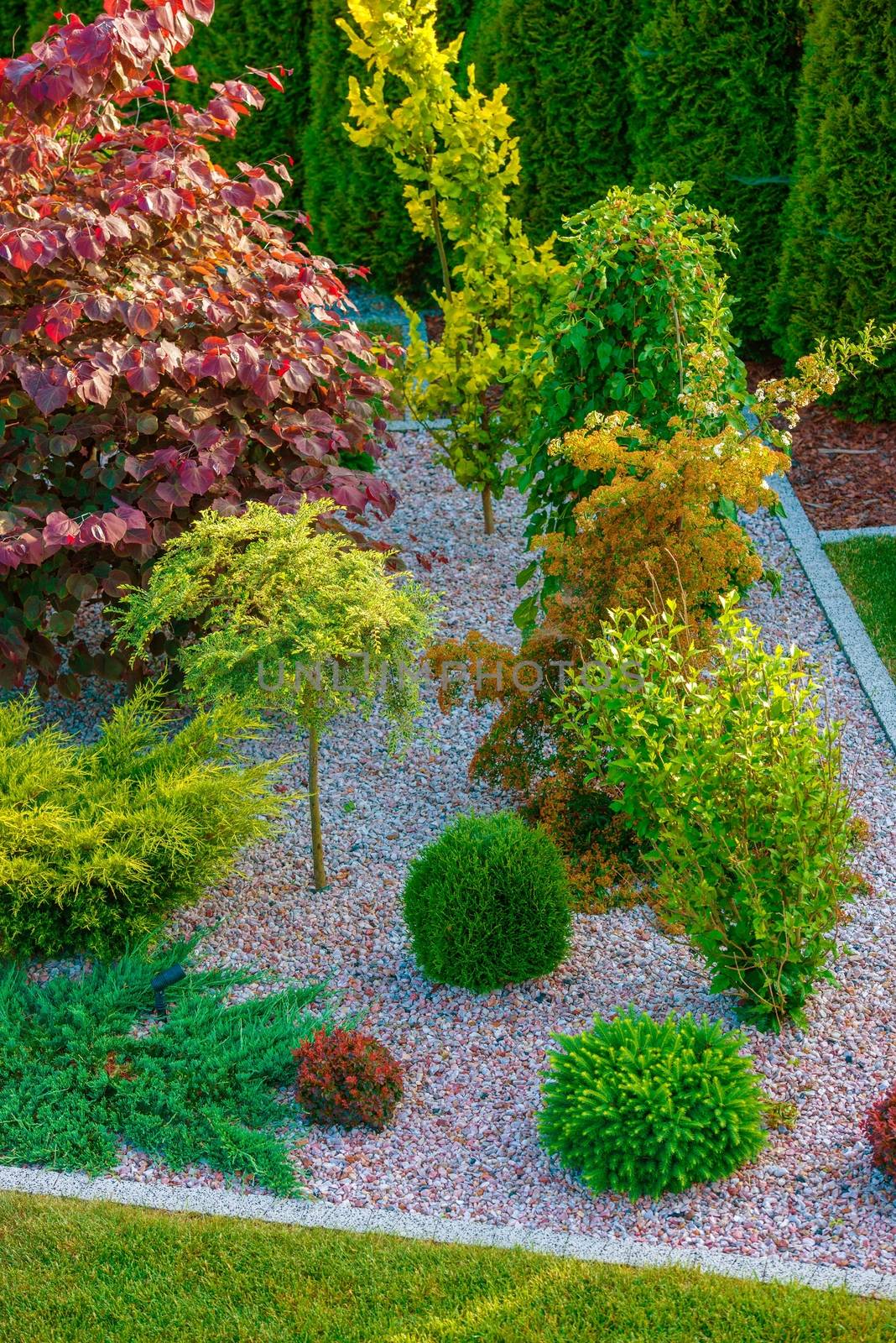 Rockery Garden Design in Vertical Photography. Freshly Designed and Built Backyard Garden.