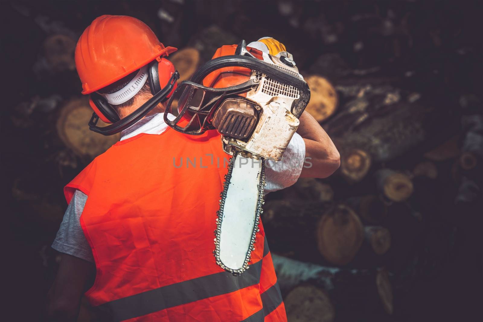 Hard Worker with Wood Cutter. Labor Concept Photo. Lumber Industry.