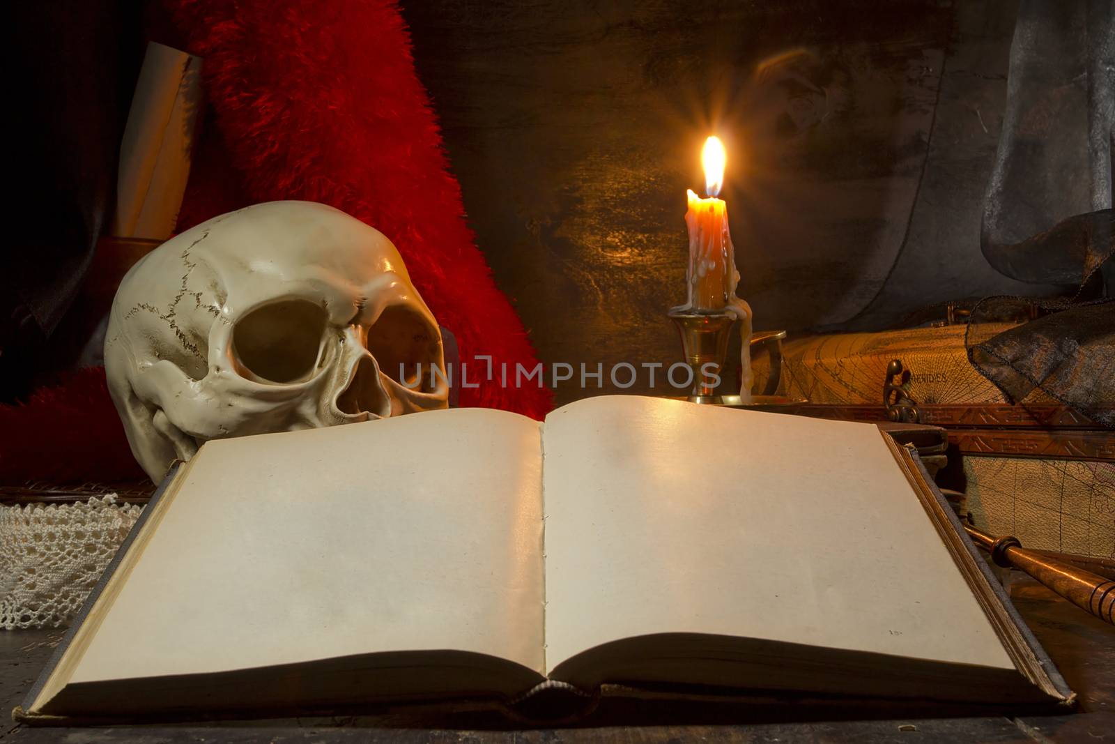 Gothic still life with a skull and a candle