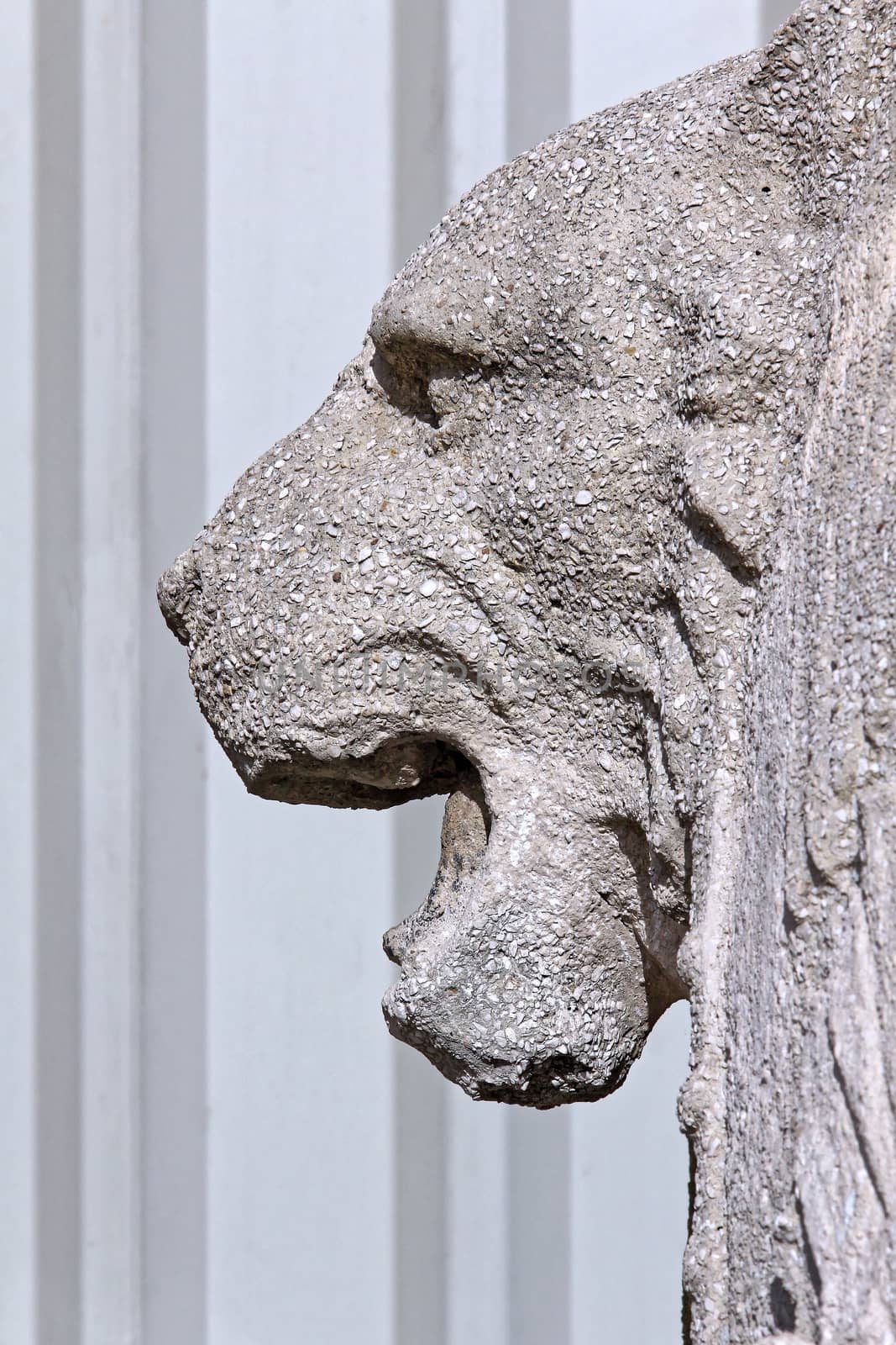 lion head statue1 by gallofoto