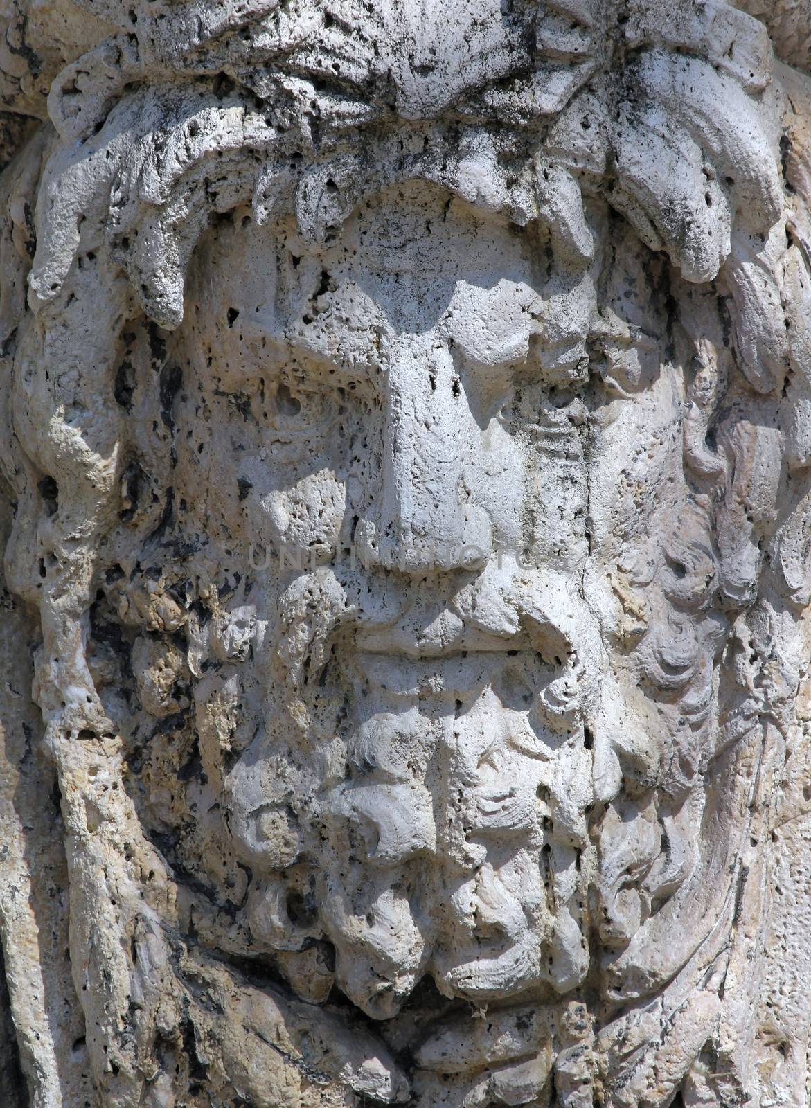 stone face1 by gallofoto
