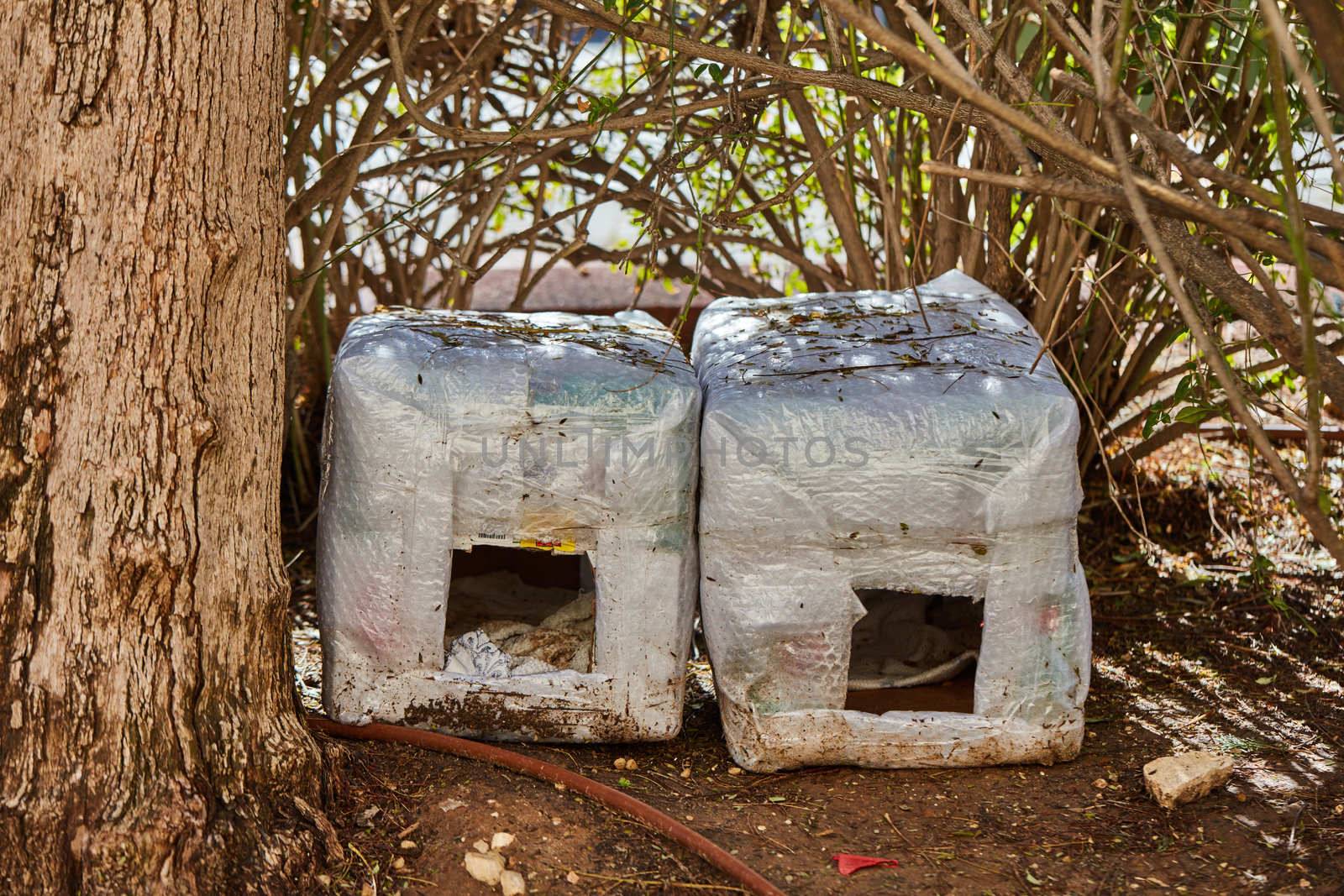 Ariel - 9 December, 2016: Cat house for homeless cats