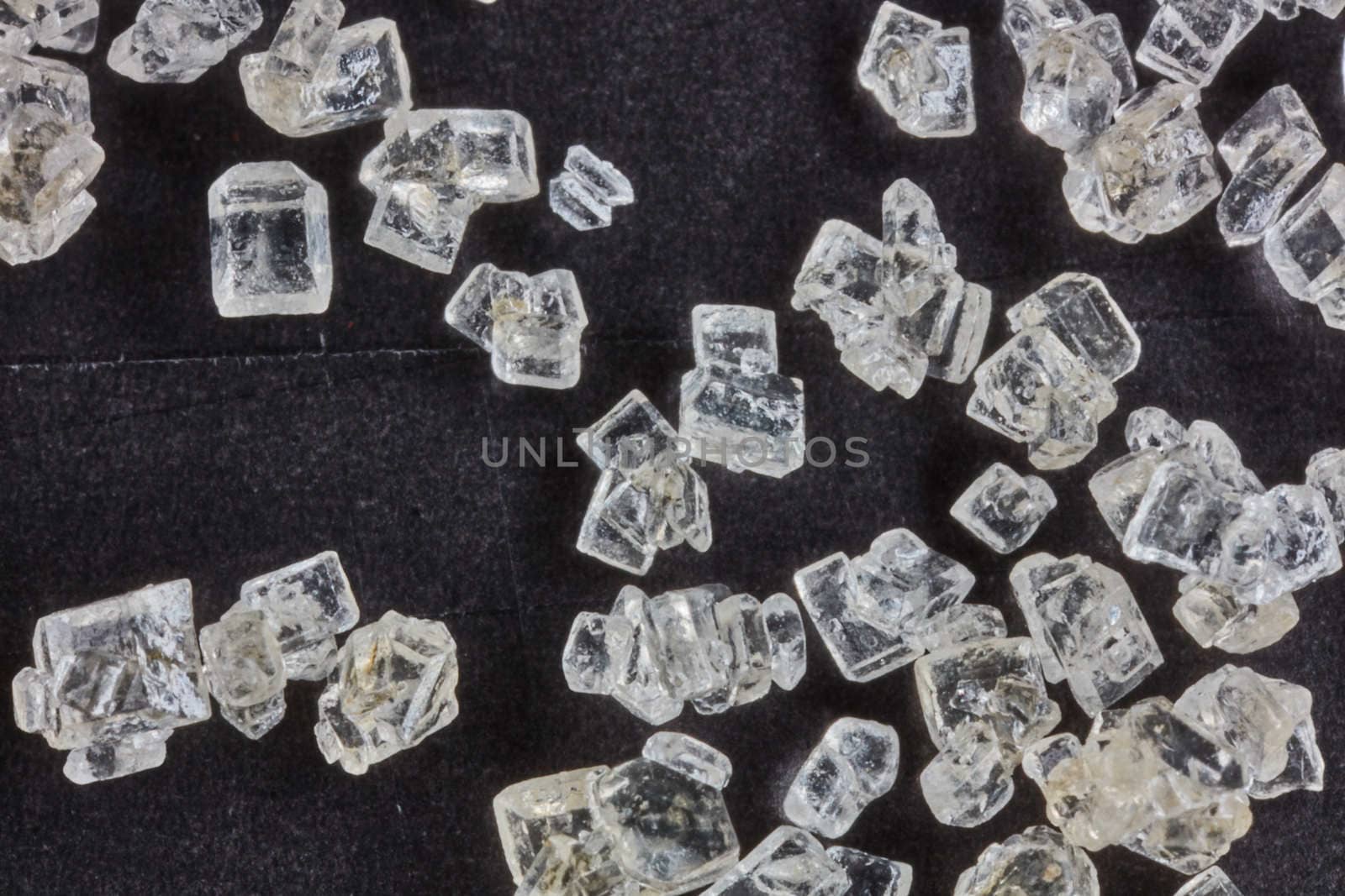 Sugar grains macro