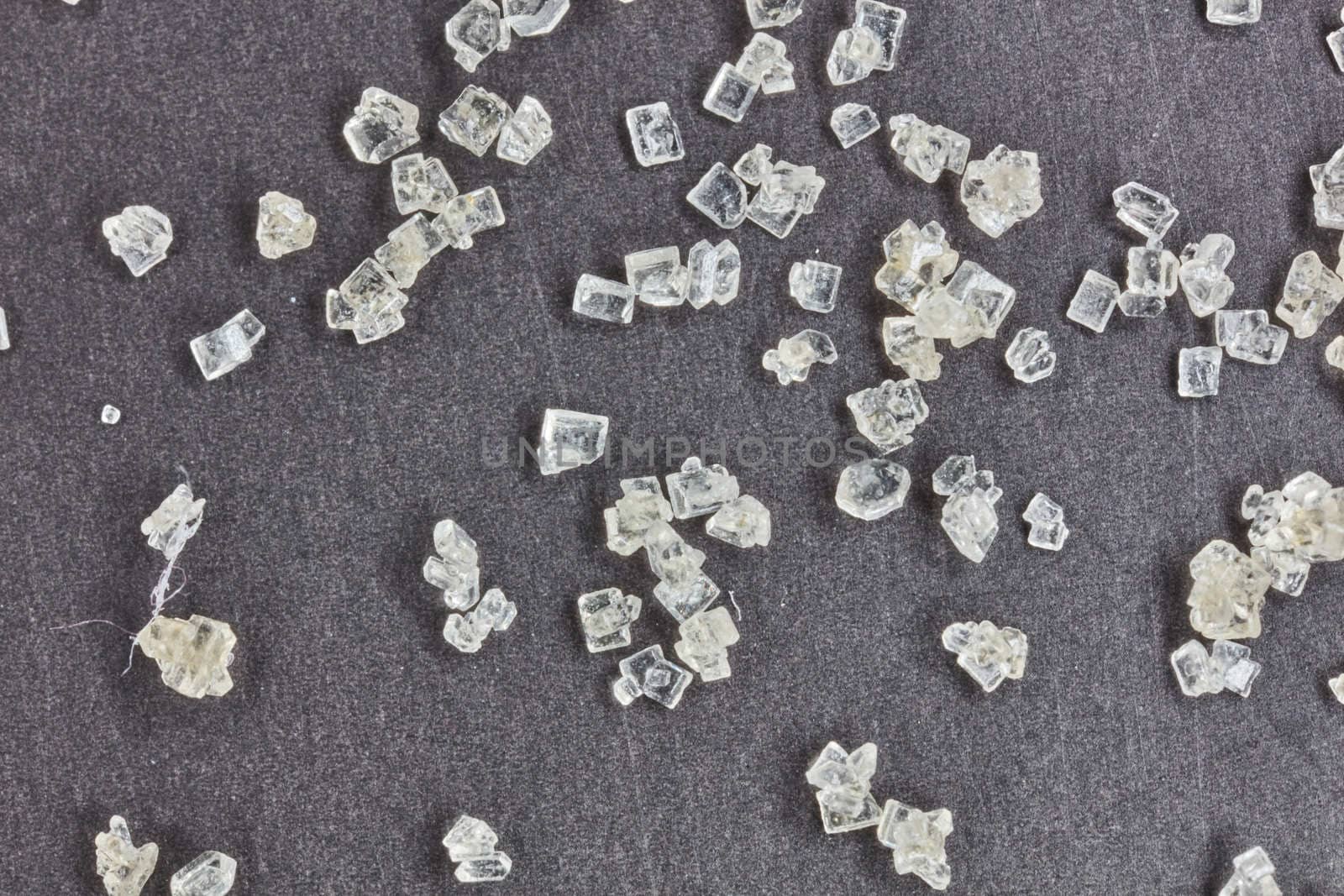 Sugar grains macro