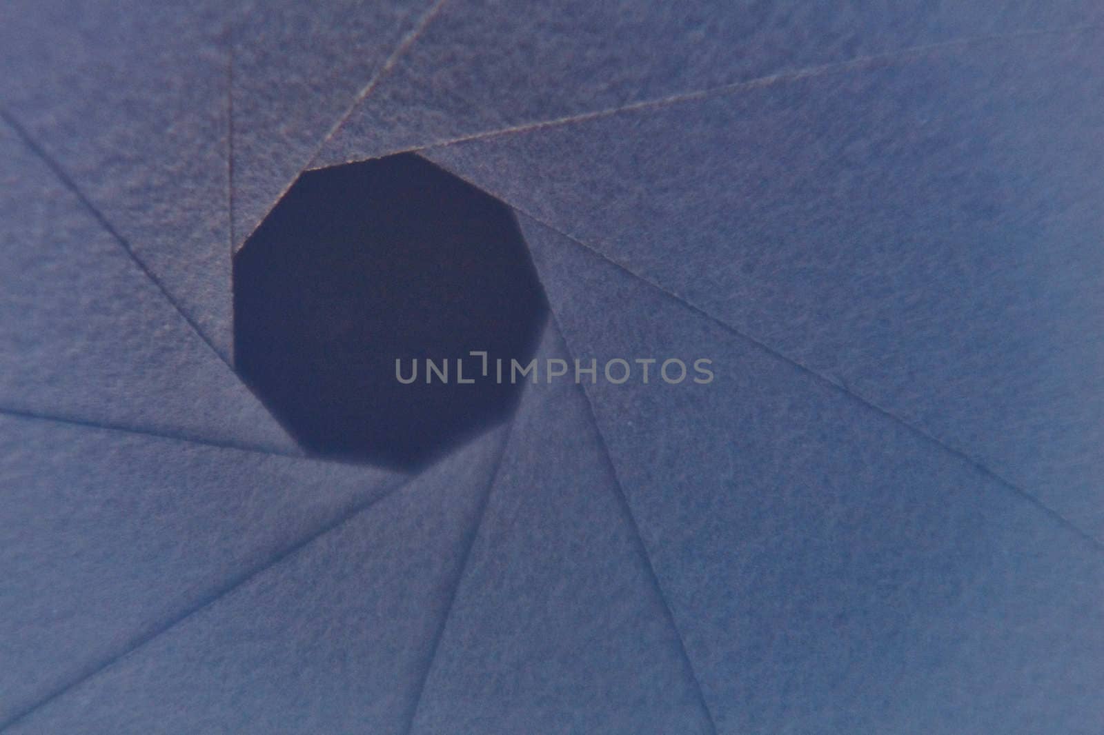 Camera shutter macro