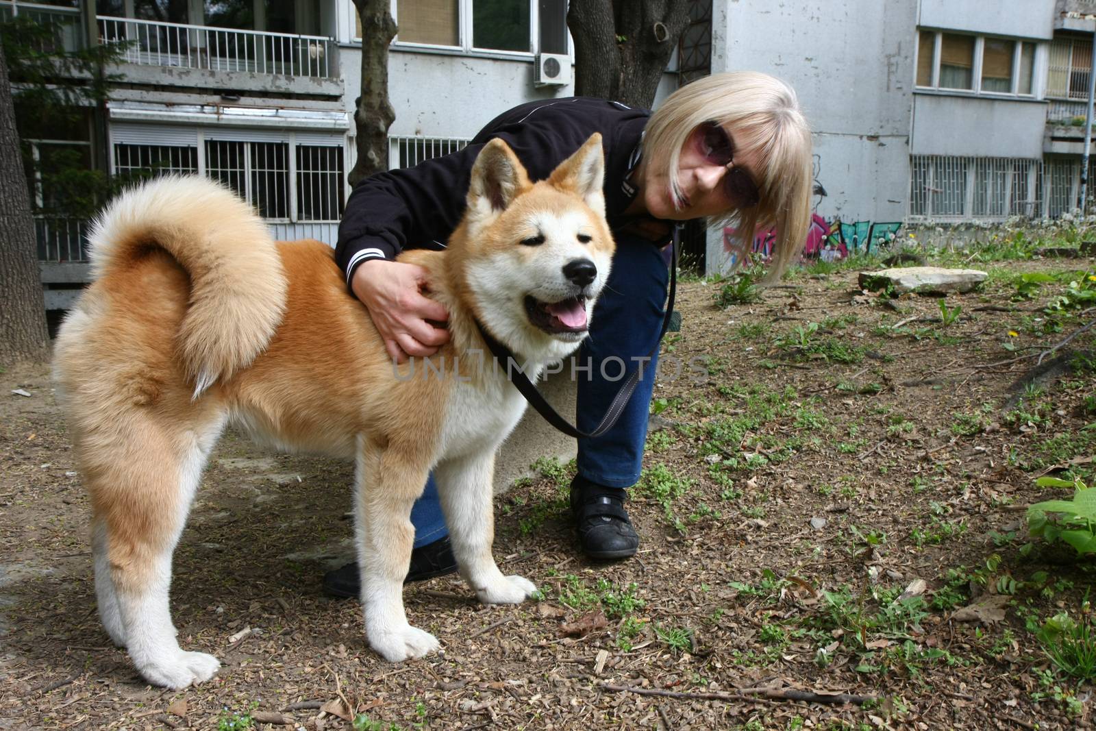 Lady and Akita Inu puppy resting on the bench