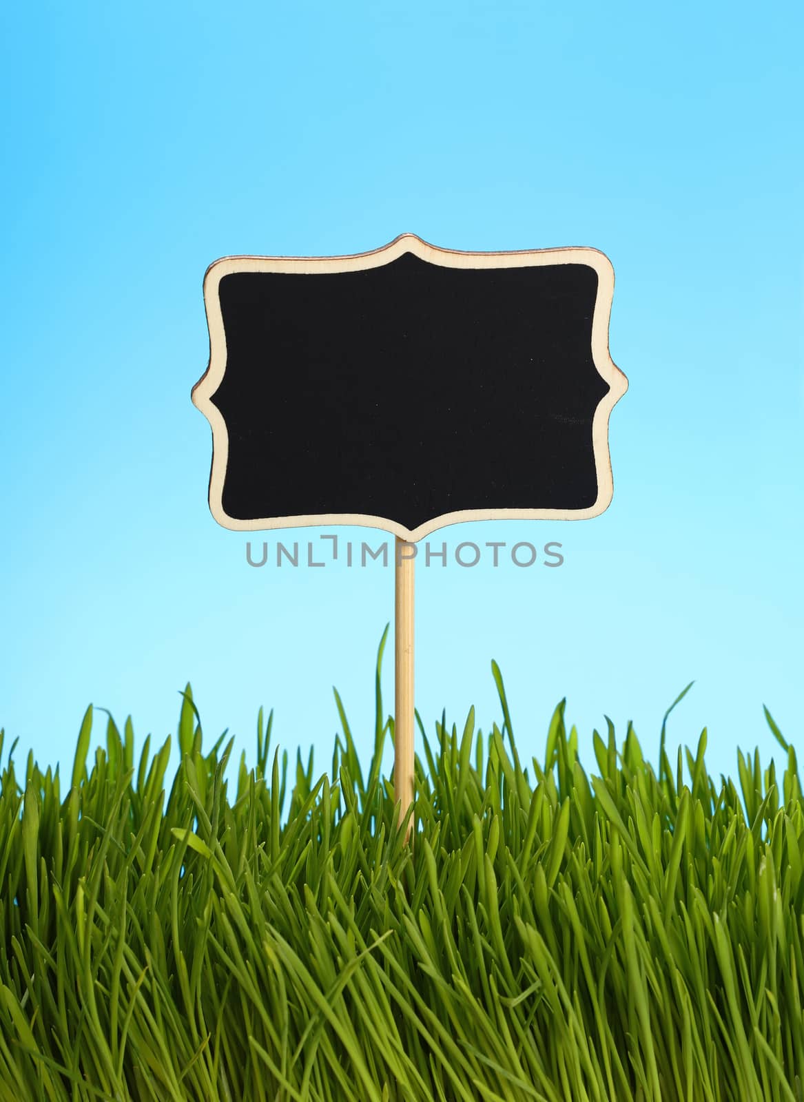 Black chalkboard sign in spring fresh green grass close up over background of clear blue sky