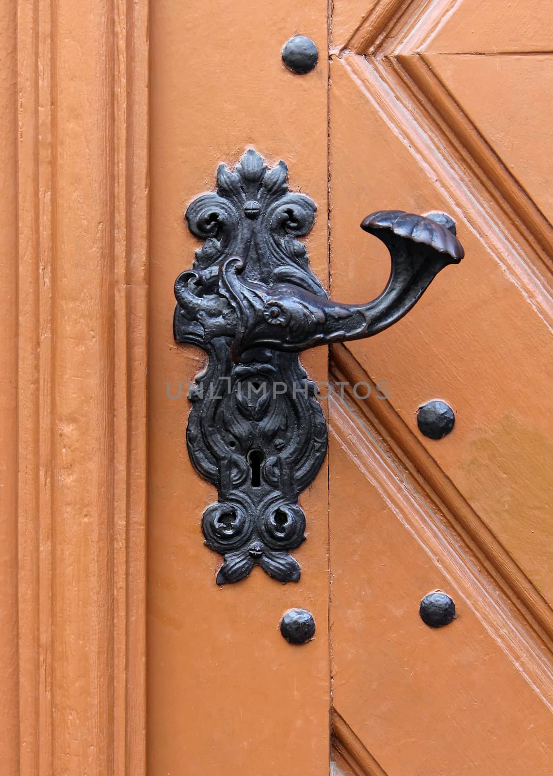 ornate entrance gate old metal door handle