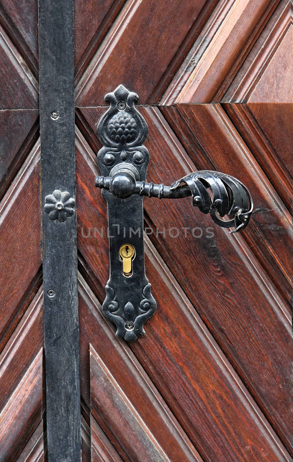 ornate entrance gate old metal door handle