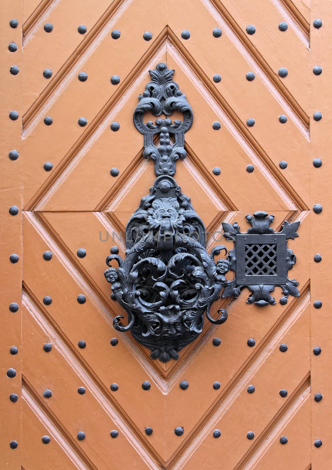 ornate entrance gate old metal door handle